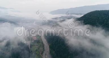 鸟瞰：雾蒙蒙的森林，在横贯喀尔巴阡山脉的城市Mizhgirja穿云飞行